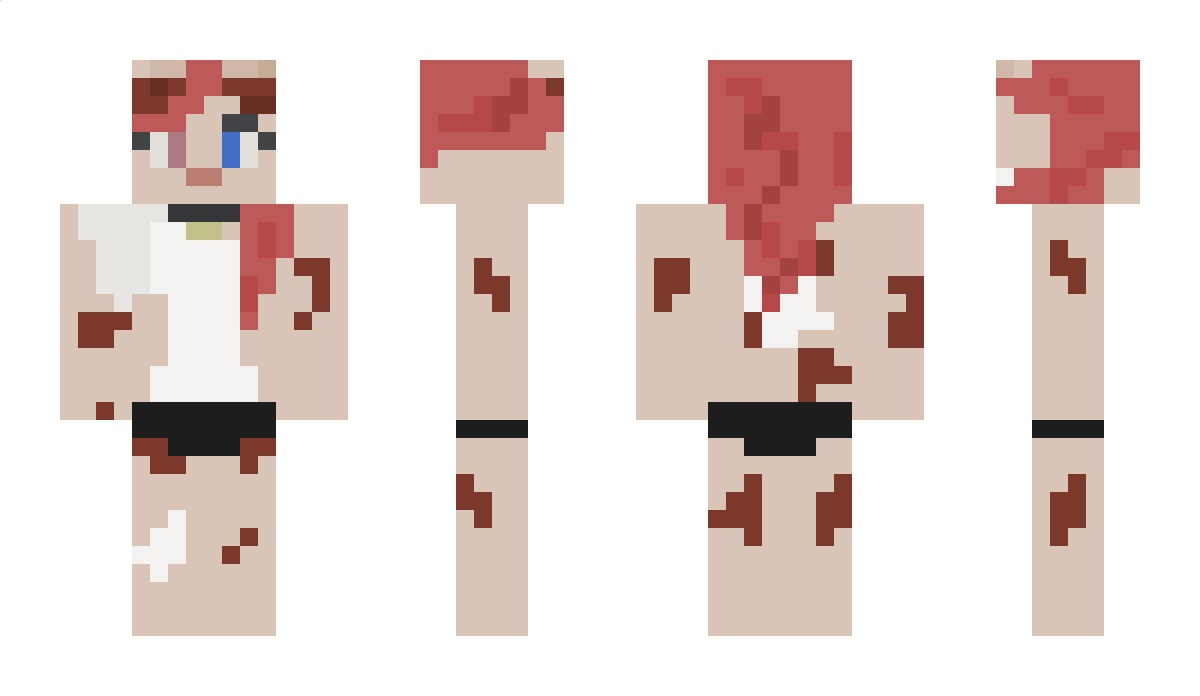 Pawlevolent Minecraft Skin