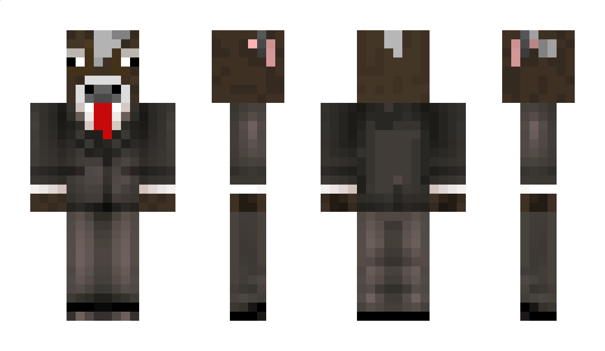 legostarwarsfan Minecraft Skin