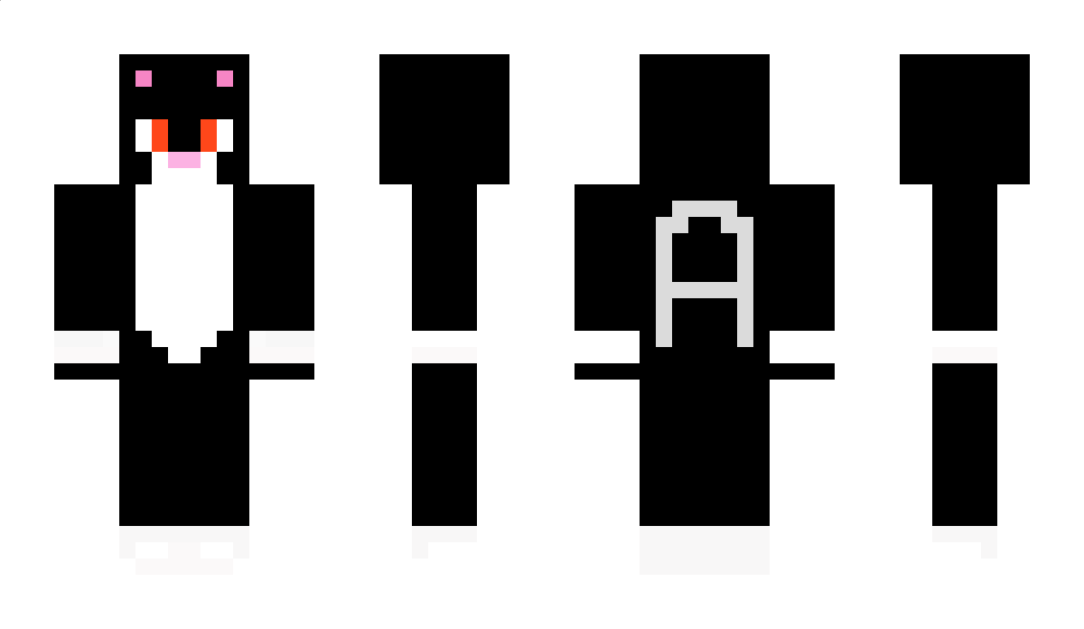 aAraVv Minecraft Skin