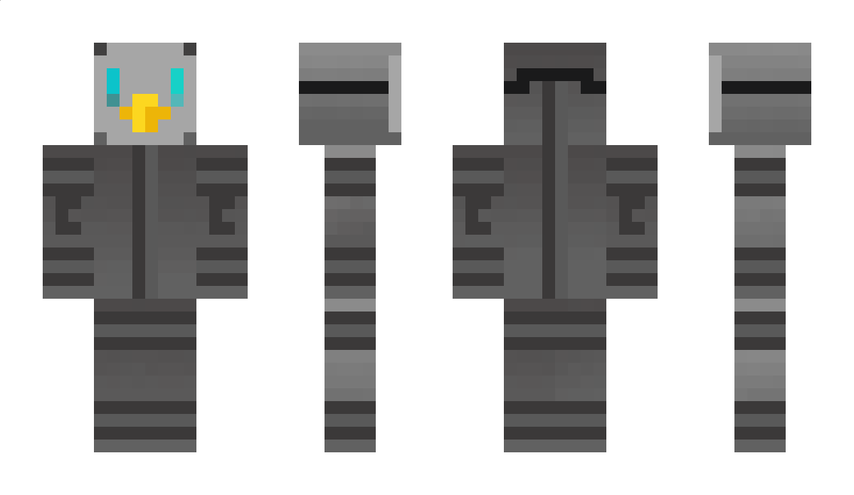 co0ka Minecraft Skin