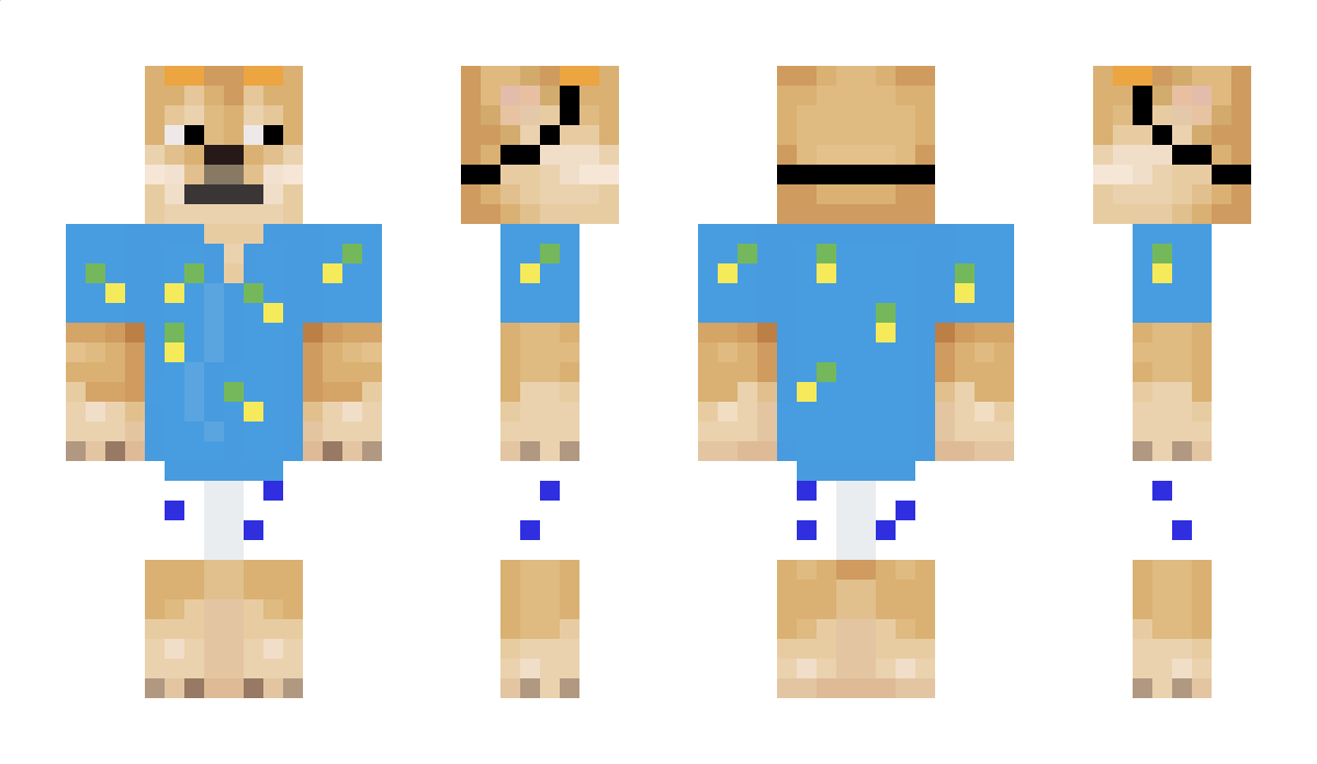 dorianmc123 Minecraft Skin