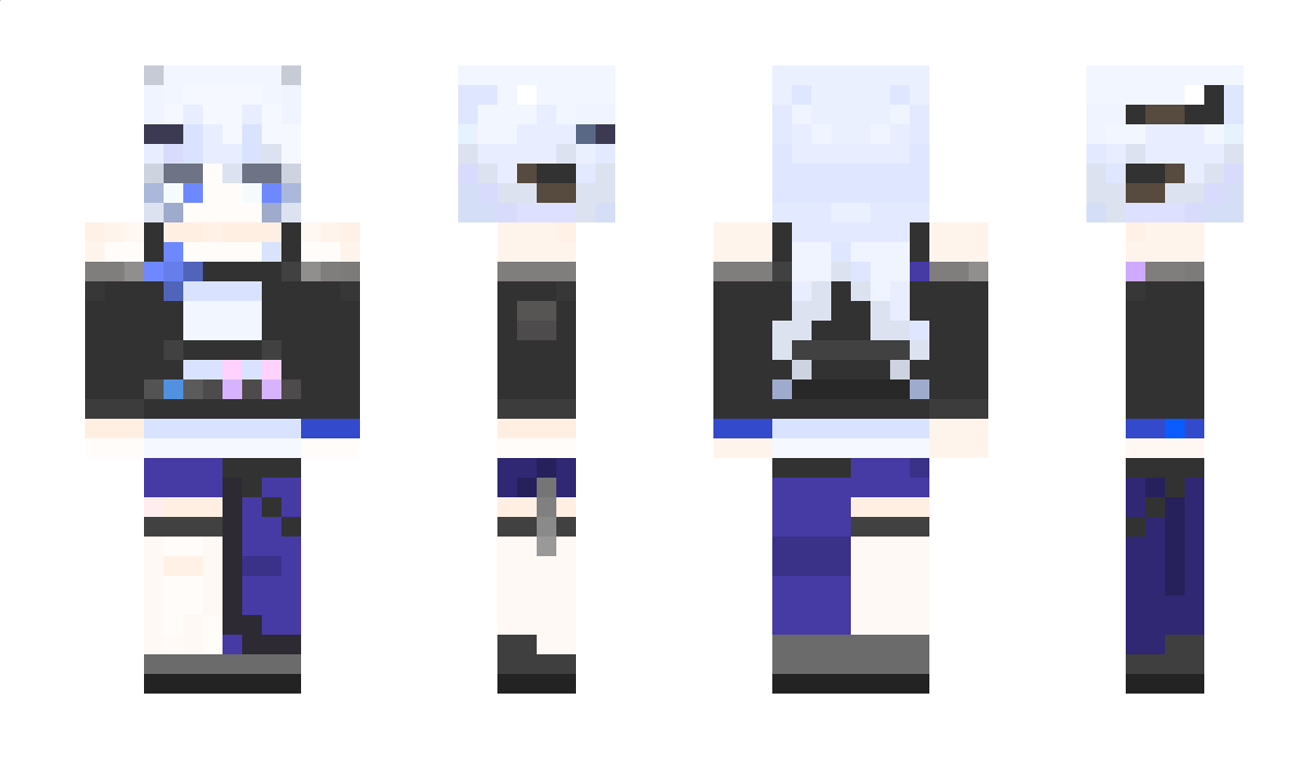 HTR2266 Minecraft Skin