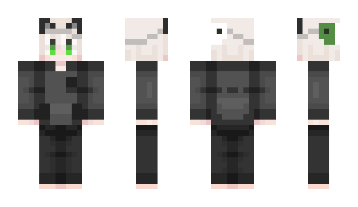 Poamie Minecraft Skin