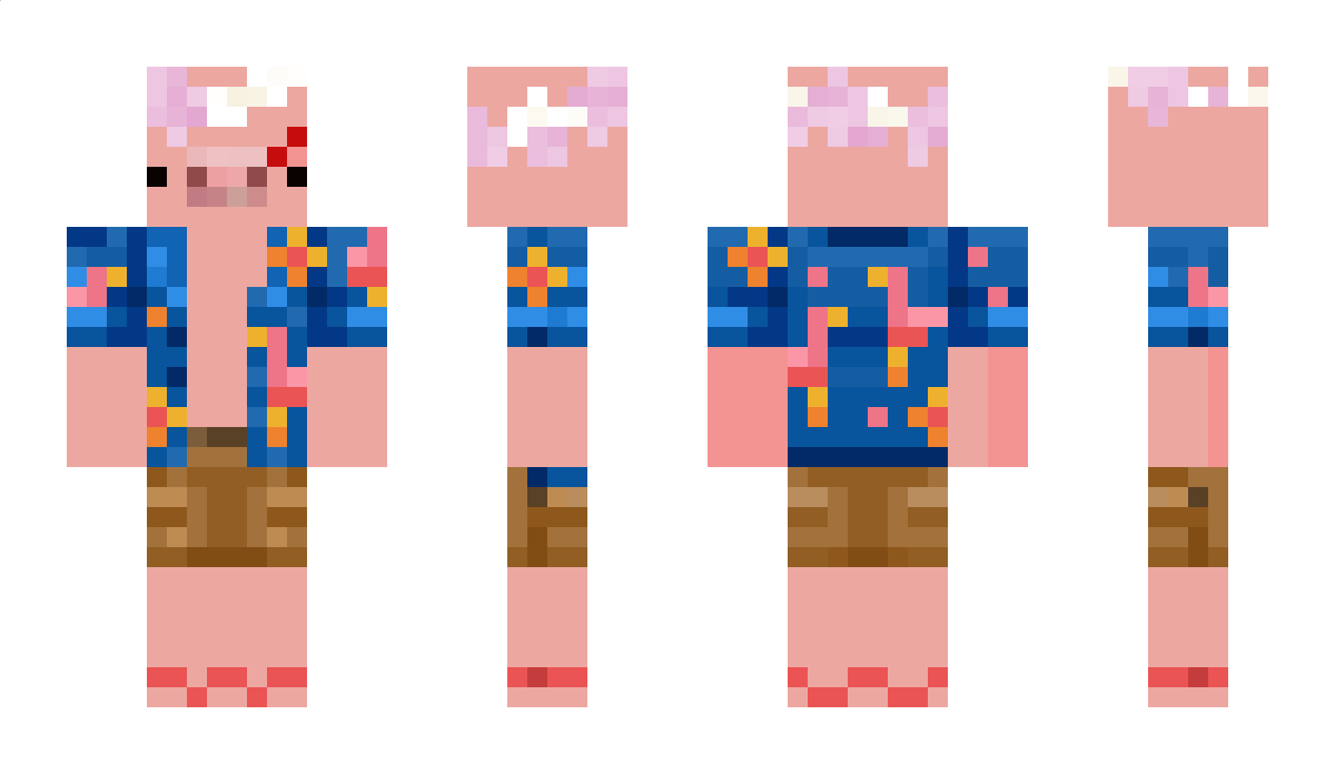 pigithical Minecraft Skin