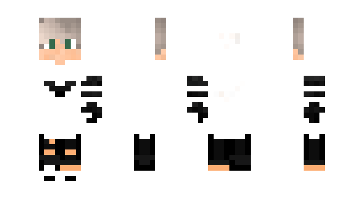 FrozenFireYT Minecraft Skin