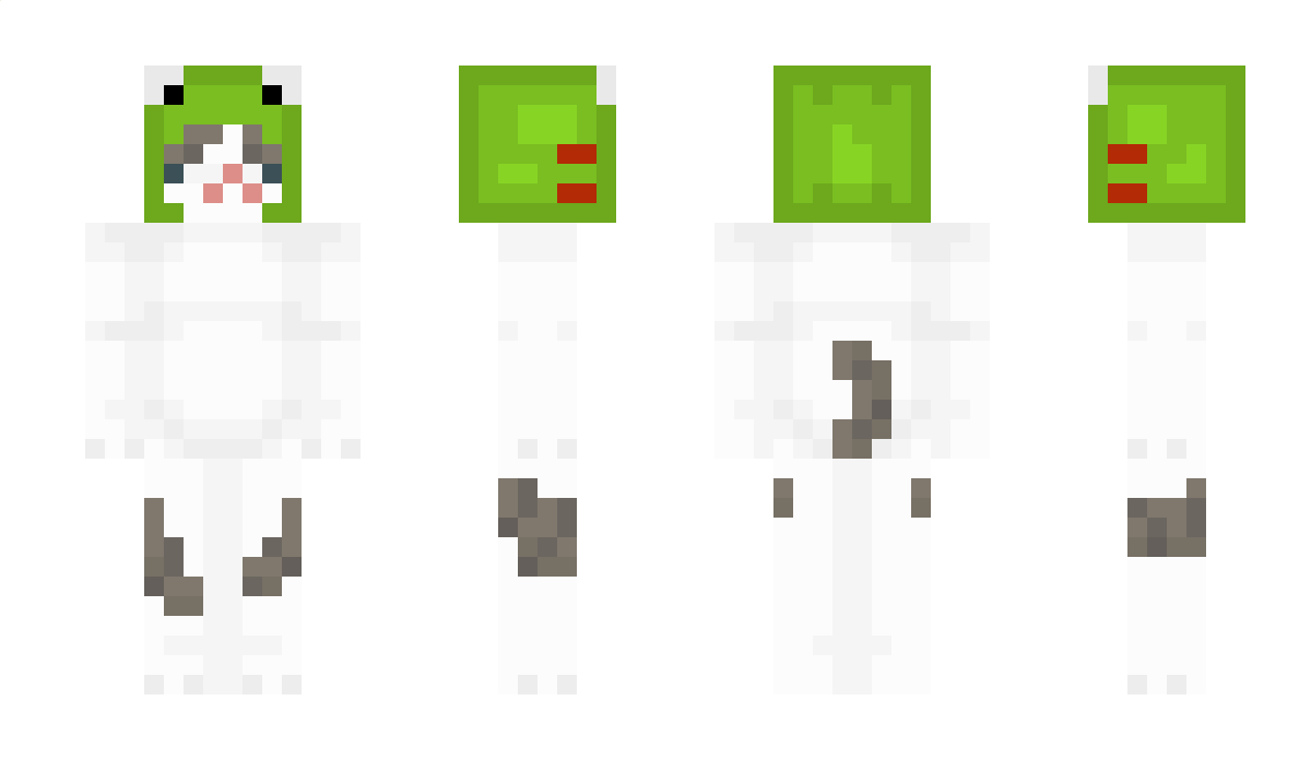 Kaevisi Minecraft Skin