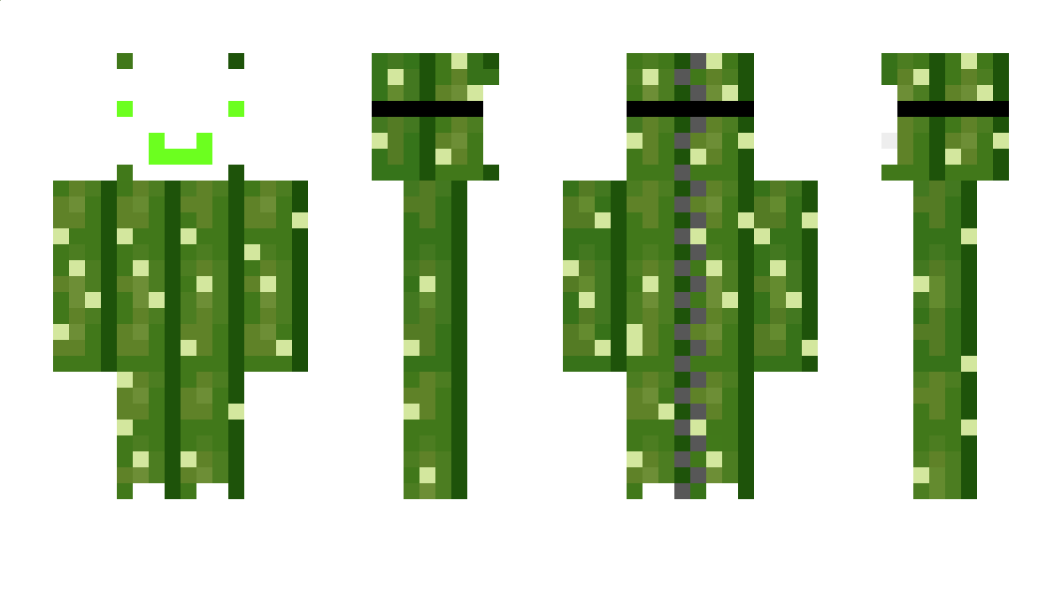 JojoxD311 Minecraft Skin