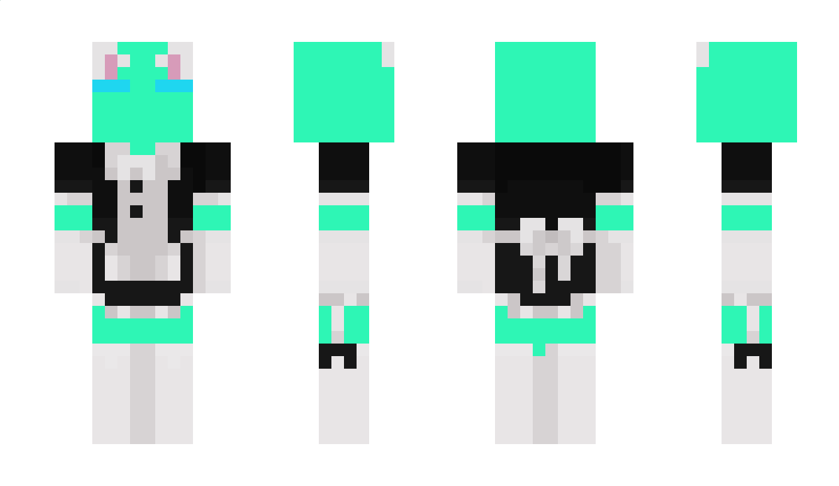 Mrsaggington Minecraft Skin