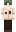 Ramashka_Flower Minecraft Skin