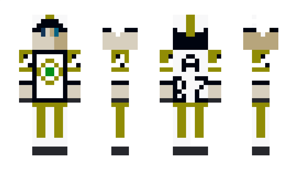 RoiZulan Minecraft Skin