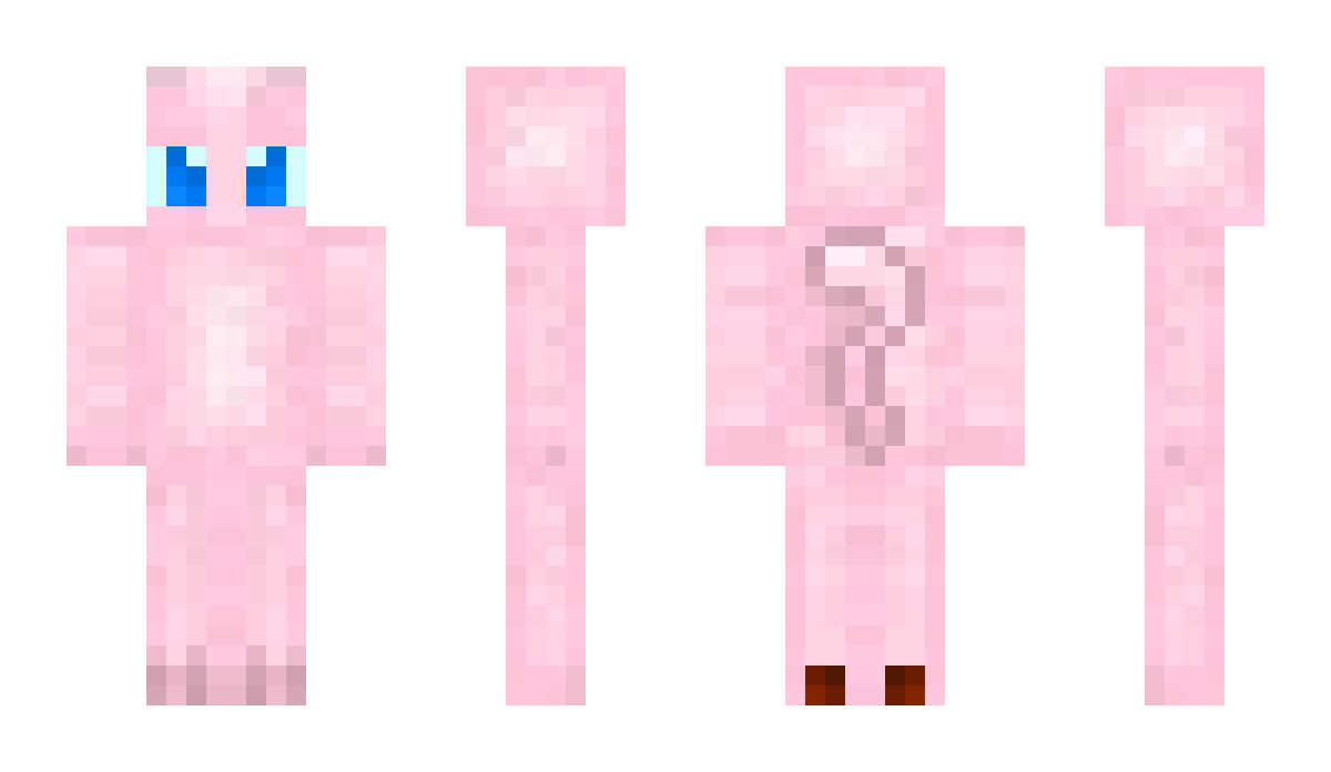 SJW Minecraft Skin