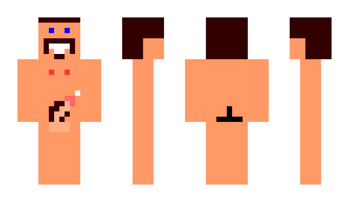 penisu Minecraft Skin