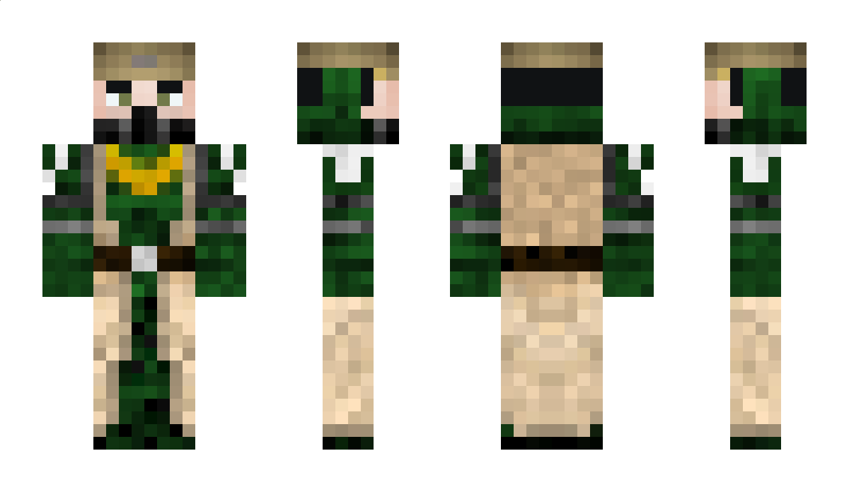 Sollapoke Minecraft Skin