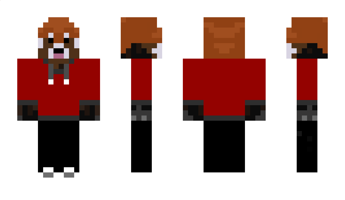 Hampteeer Minecraft Skin