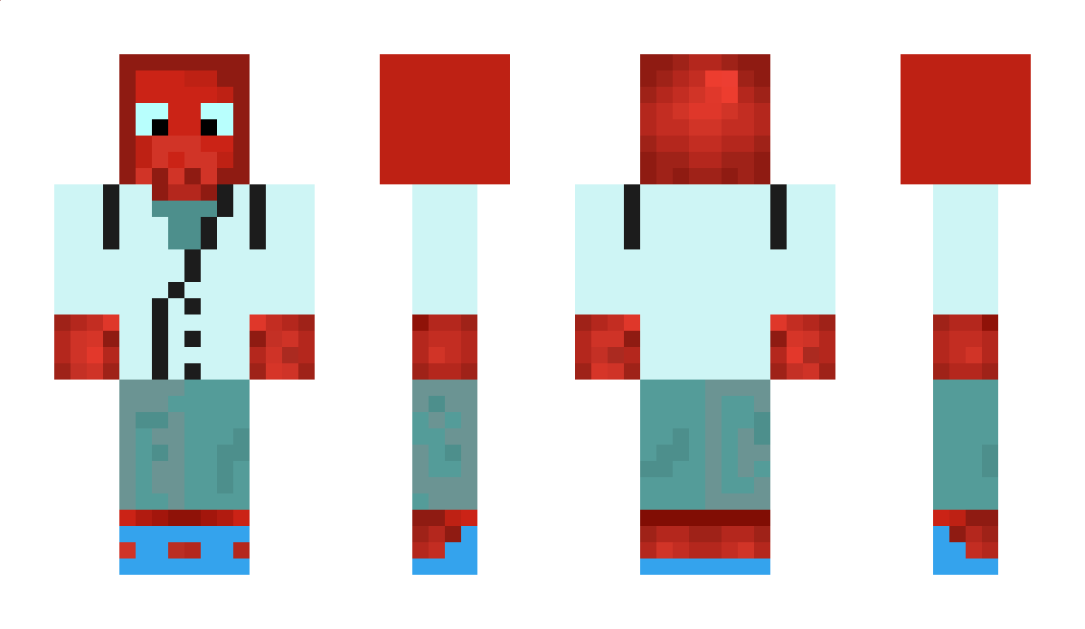 Bracabrad Minecraft Skin