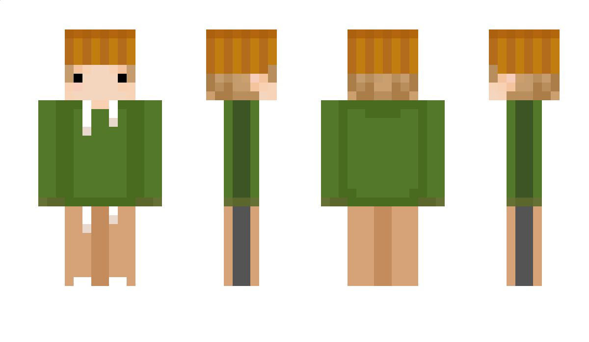 _DWERP_ Minecraft Skin