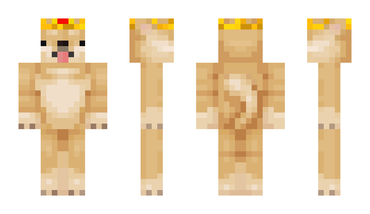 DogeKing_YT Minecraft Skin