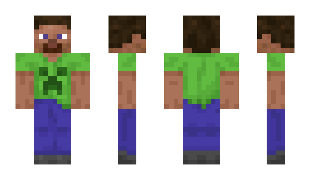 saltlord95 Minecraft Skin