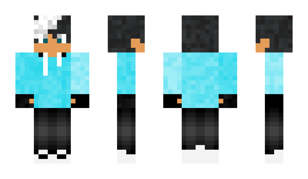 mg11 Minecraft Skin