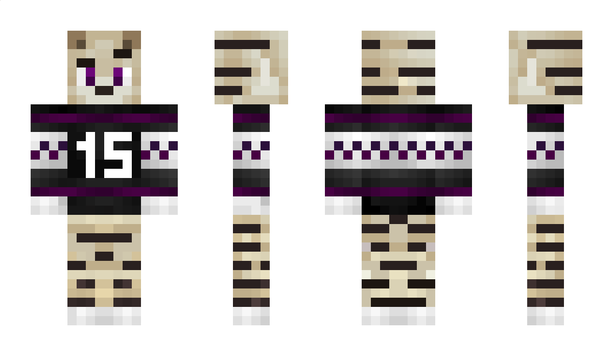 Penquiin Minecraft Skin