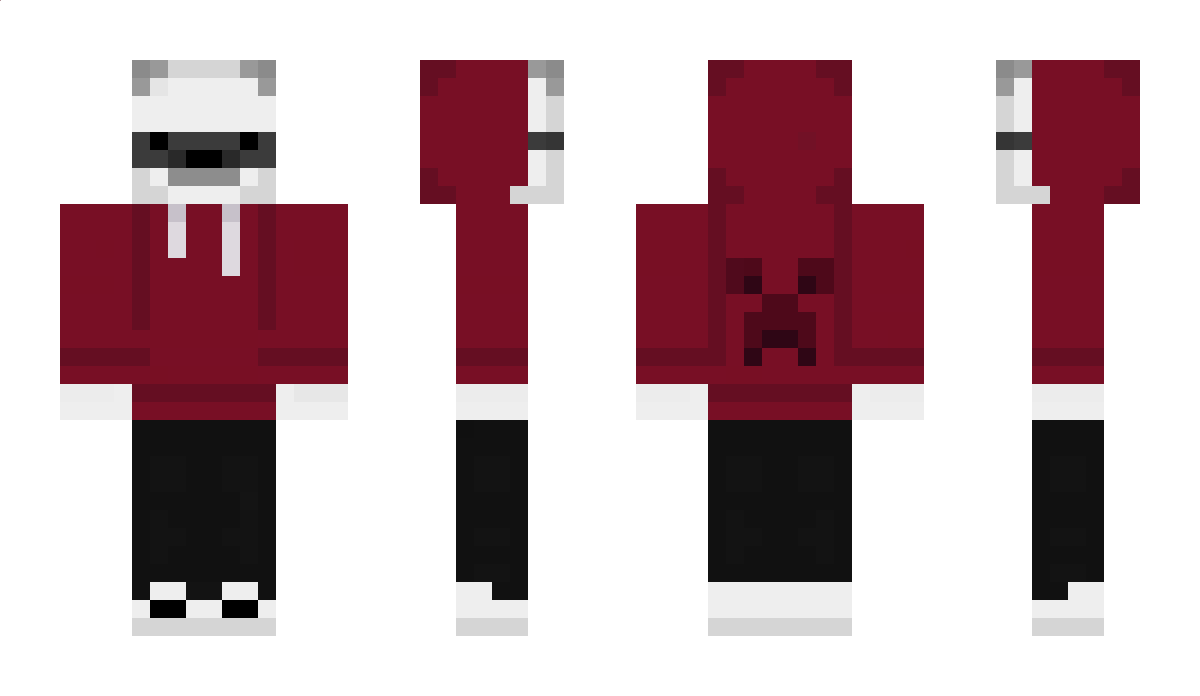 Poolarz Minecraft Skin