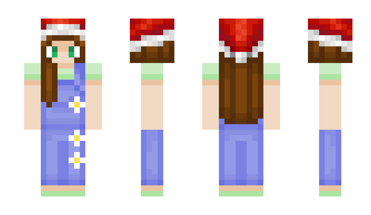 Noomitin Minecraft Skin