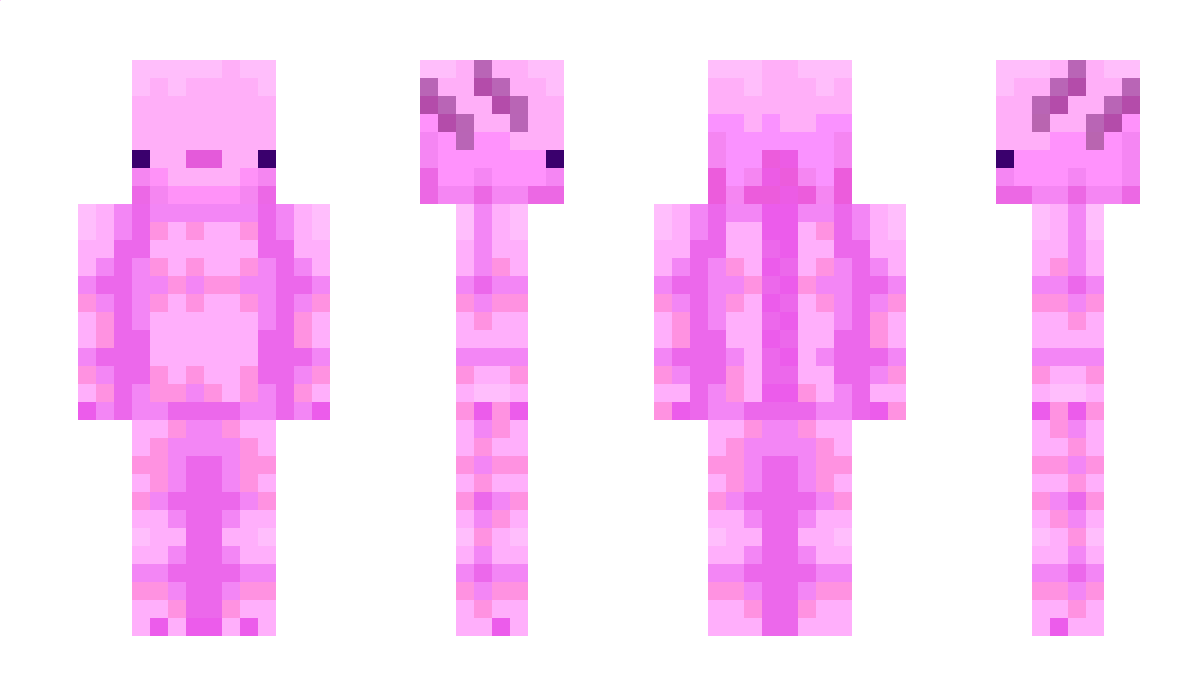 antekwwa Minecraft Skin