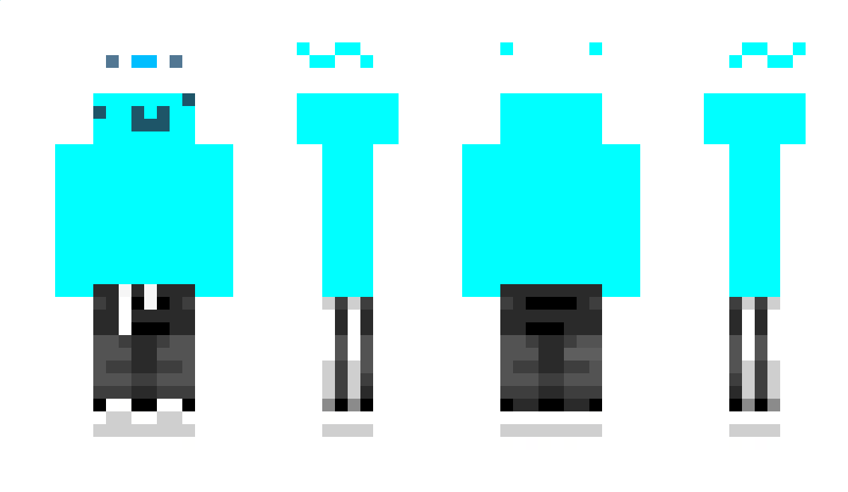 NotDragons_ Minecraft Skin