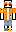 AnnoyedSeal Minecraft Skin