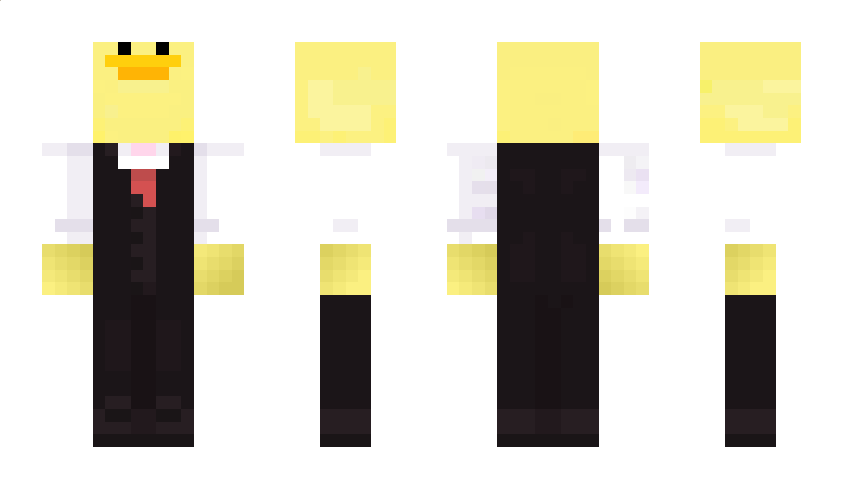 DucksGO Minecraft Skin