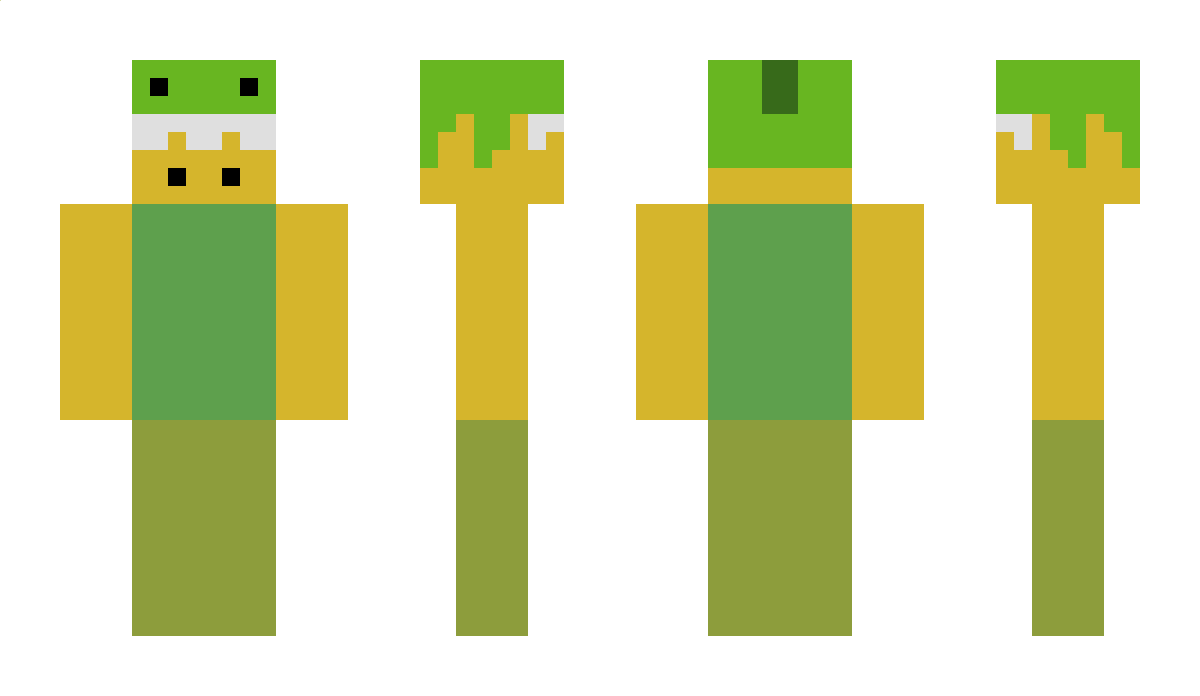 DXTR04 Minecraft Skin