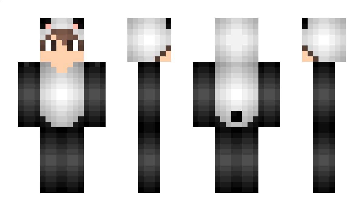 NightGamingTV Minecraft Skin