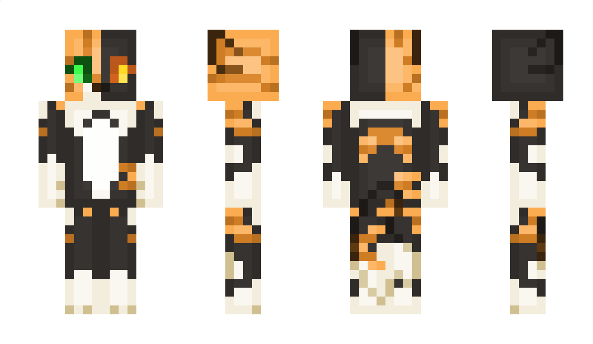 Paccet Minecraft Skin