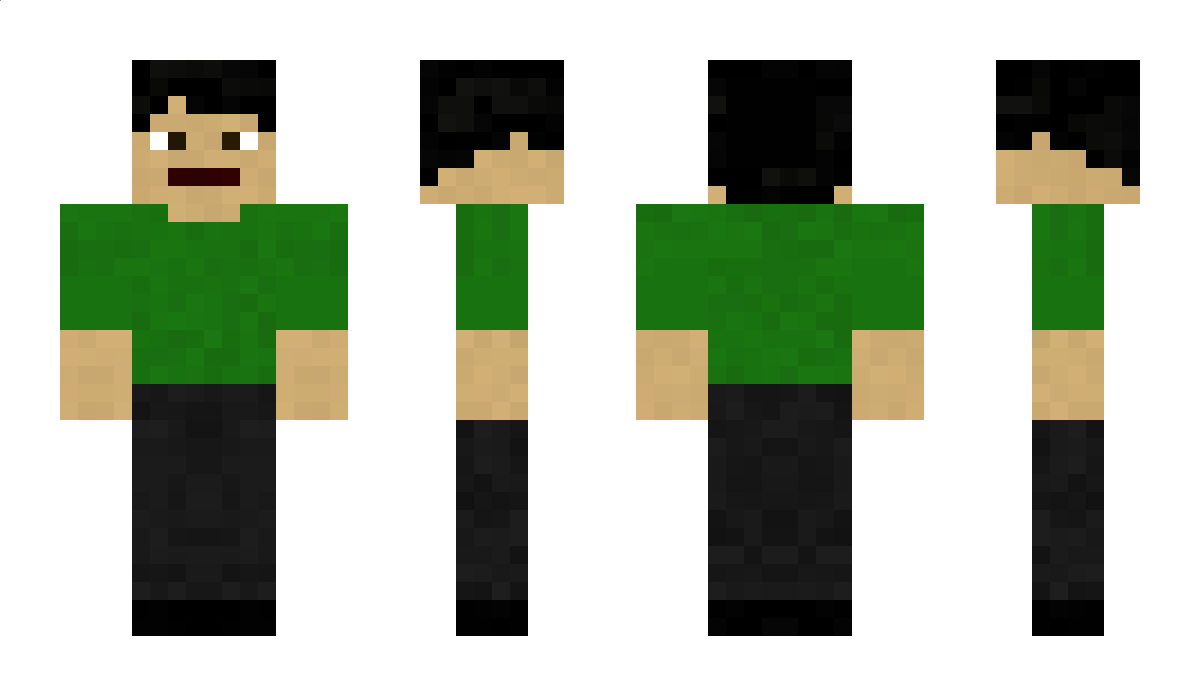 DireWizardry Minecraft Skin