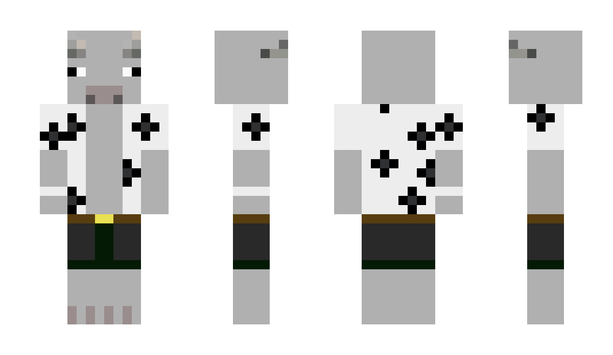 1Arne1 Minecraft Skin