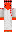 TomAte0o Minecraft Skin