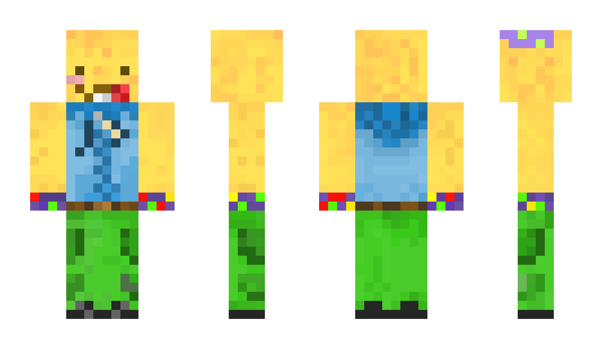 DuckyMCz Minecraft Skin