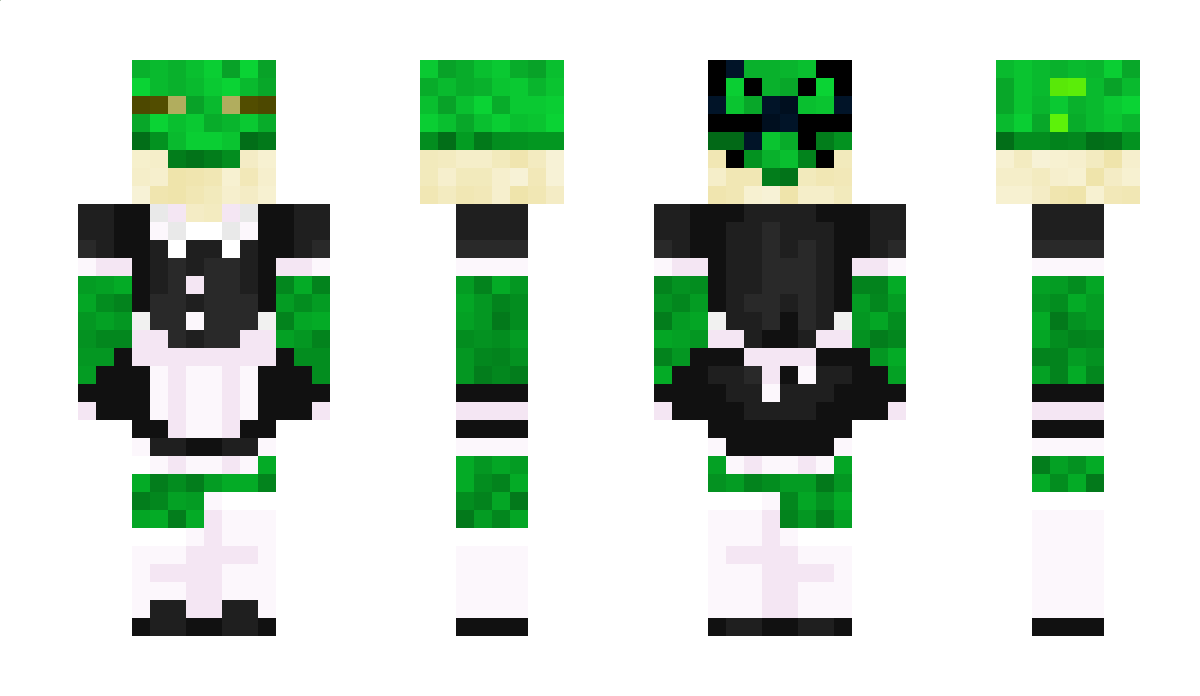 FroggyGamer243 Minecraft Skin