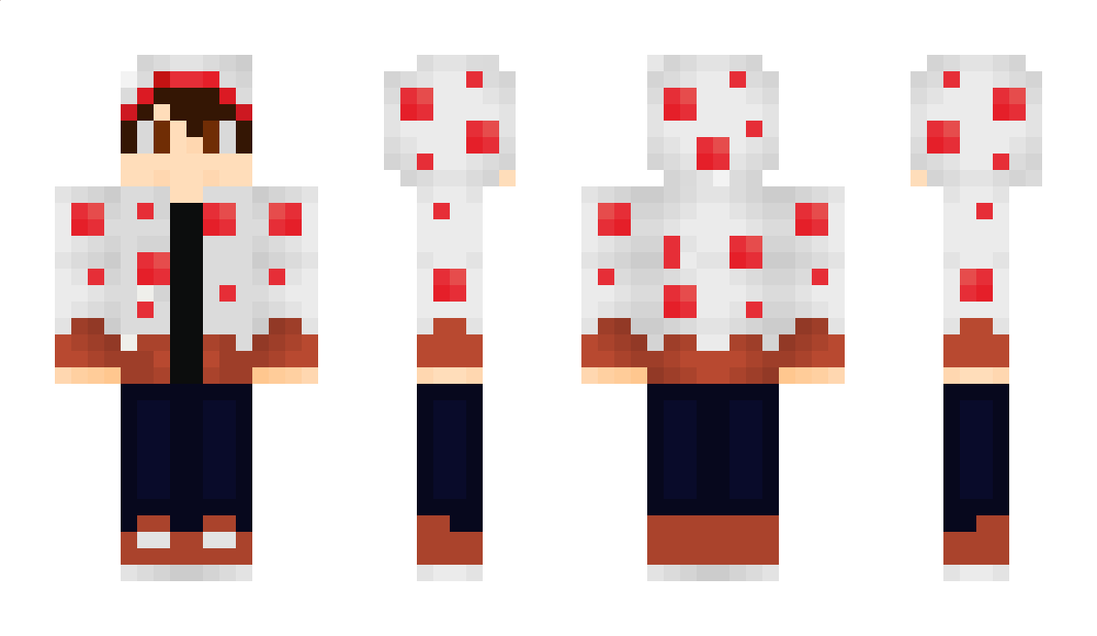 Max1234 Minecraft Skin