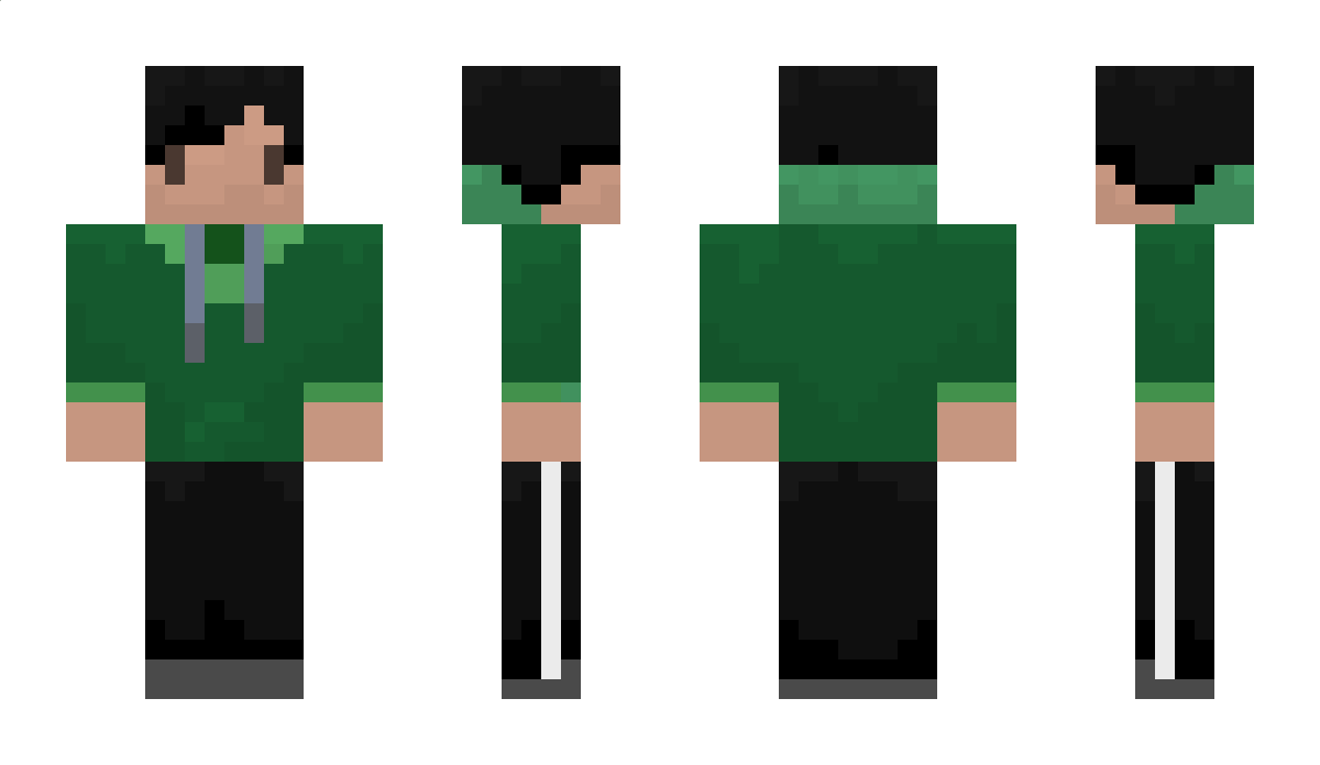 Beesborgir Minecraft Skin