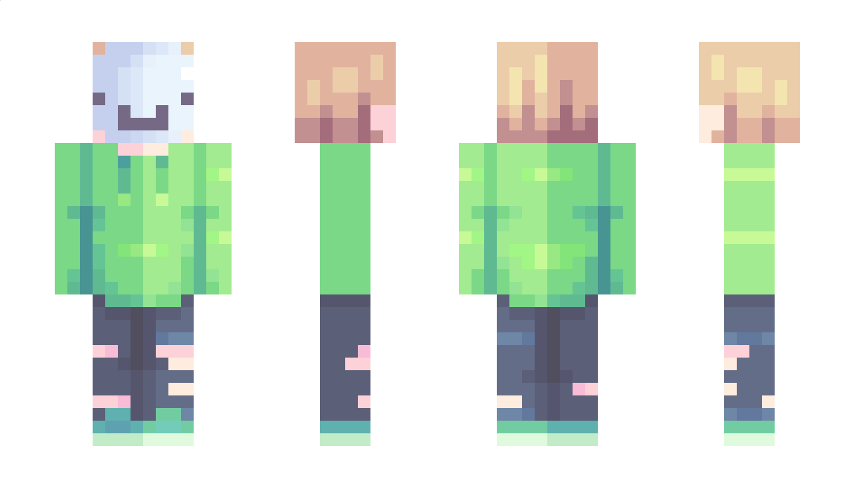 dashlovescats Minecraft Skin
