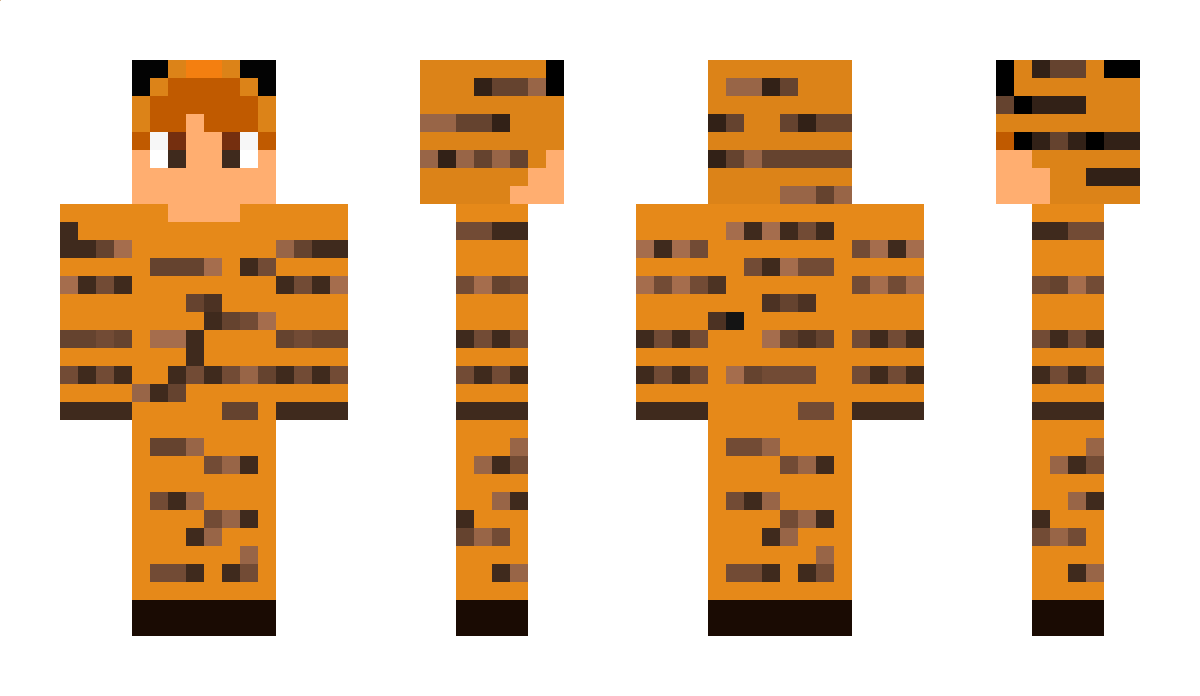 Coolertiger22 Minecraft Skin