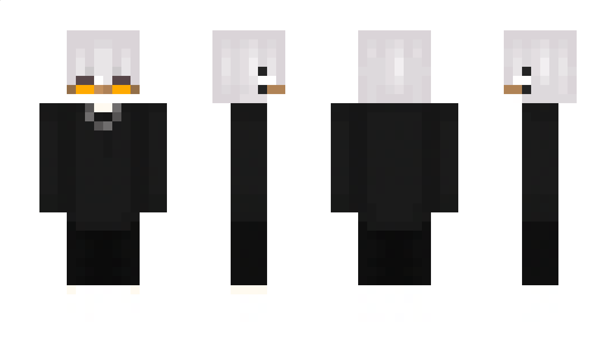 _StarFR_ Minecraft Skin