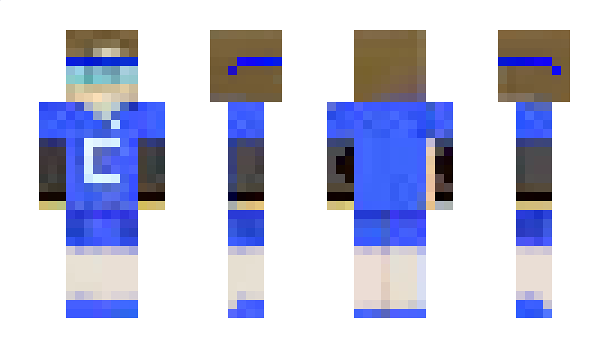 ArtiCraftFlorida Minecraft Skin