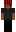 rickzinbr Minecraft Skin