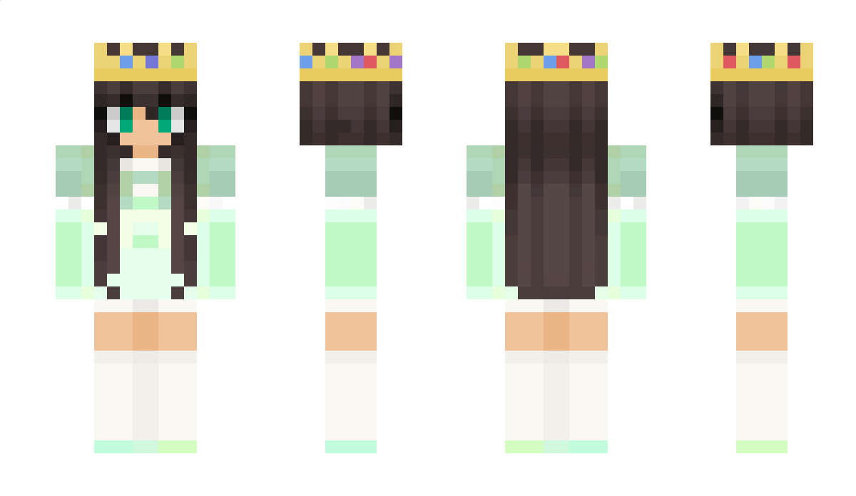 turtlesx_ Minecraft Skin