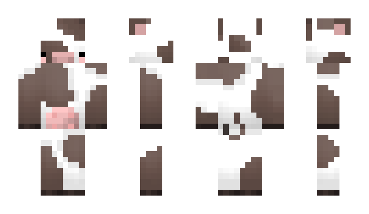 x254 Minecraft Skin