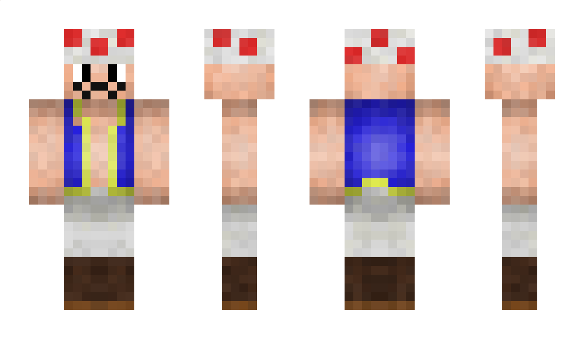 MrToadYT Minecraft Skin