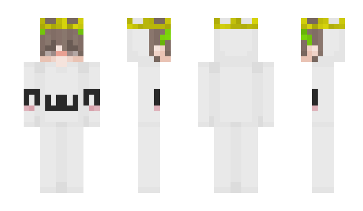 Drarverr Minecraft Skin