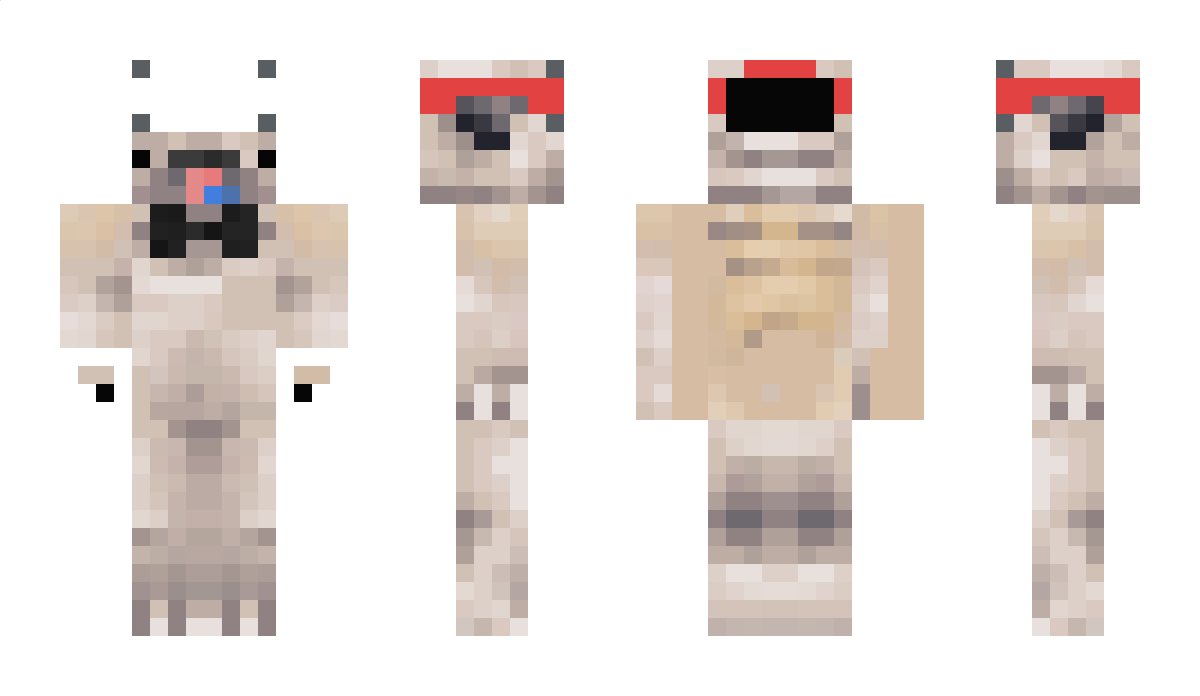 Datsdapug Minecraft Skin